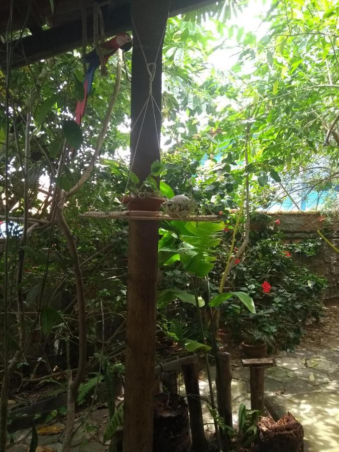 Pousada Recanto Devas Cabo Frio Dış mekan fotoğraf